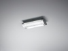 SK1010A7.jpg