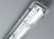 E14LED.jpg