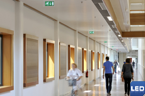 Sint-Radboud_beeld2_thumbnail.jpg
